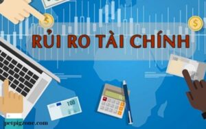 QUẢN LÝ RỦI RO TÀI CHÍNH HIỆU QUẢ (1)