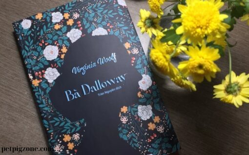 Sách Bà Dalloway bìa mềm (2)