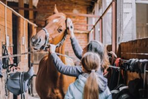 Grooming for Success How to Look Your Best Every Day