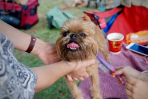 Top Grooming Mistakes and How to Avoid Them